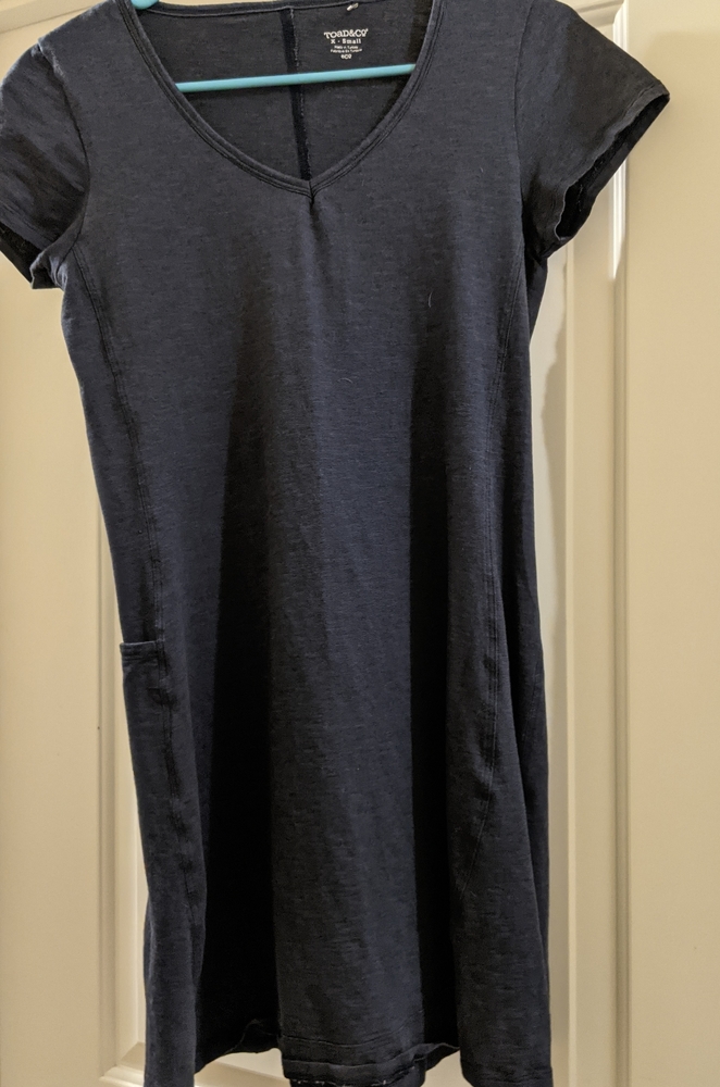 Toad & Co t shirt dress